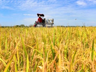 2022年农业补贴或将调整，具体会做出哪些调整？