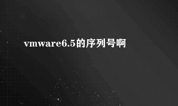 vmware6.5的序列号啊
