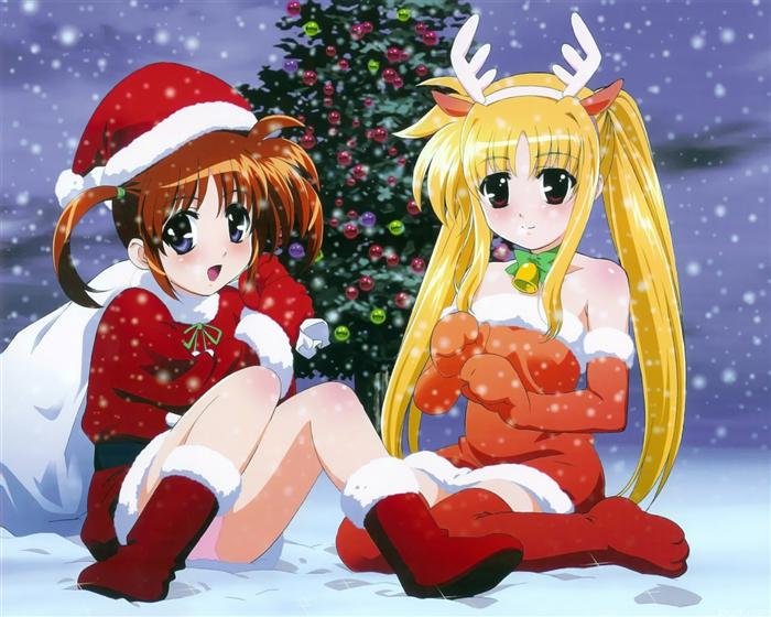 奈叶小站的站长介绍