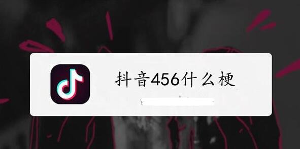 抖音456什么梗