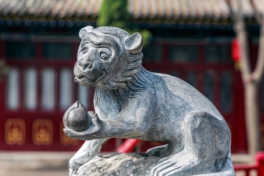 二门生肖有玄机打一个生肖