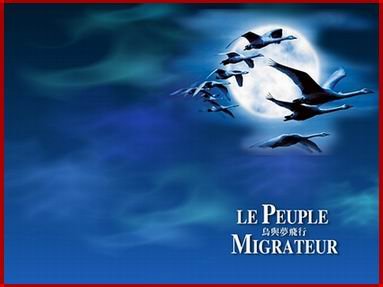 生命有明天的音乐原声