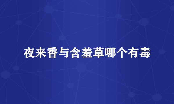夜来香与含羞草哪个有毒
