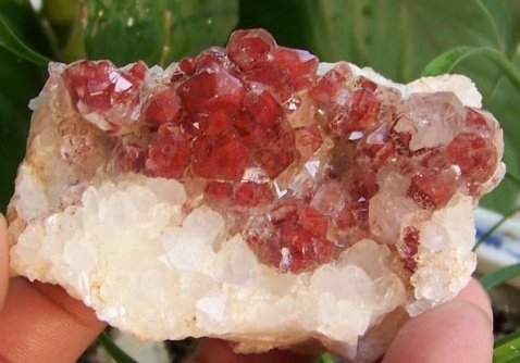 水晶购物网的投资方