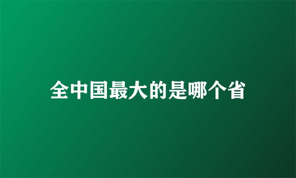 全中国最大的是哪个省