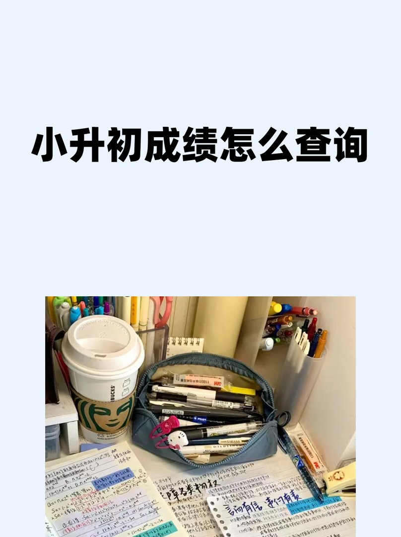 小升初成绩怎么查询？