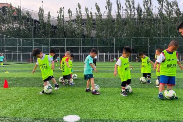 美国足球世界排名多少?