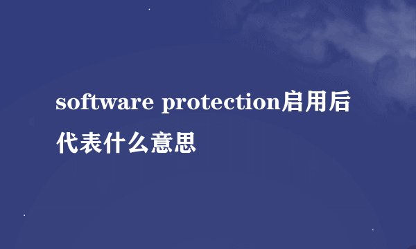 software protection启用后代表什么意思