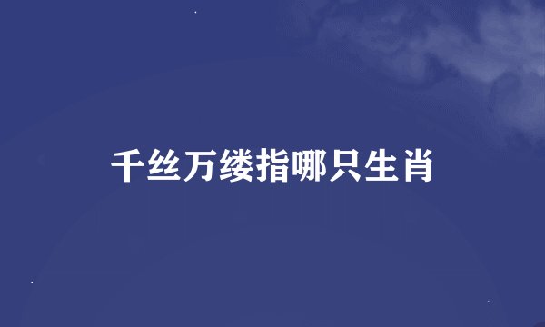 千丝万缕指哪只生肖
