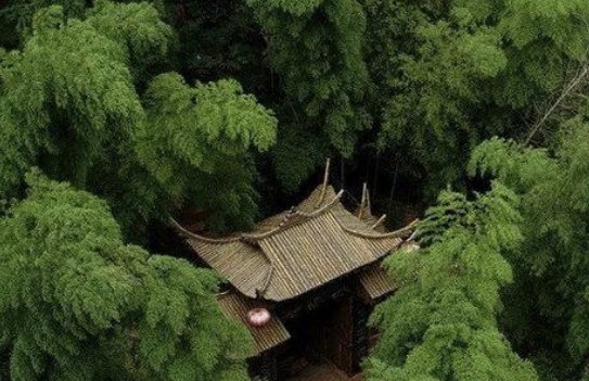 人间至味是清欢下一句是什么意思？