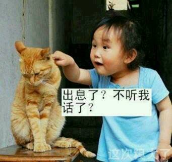 求吴大伟的图片！