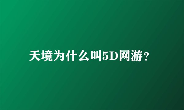 天境为什么叫5D网游？