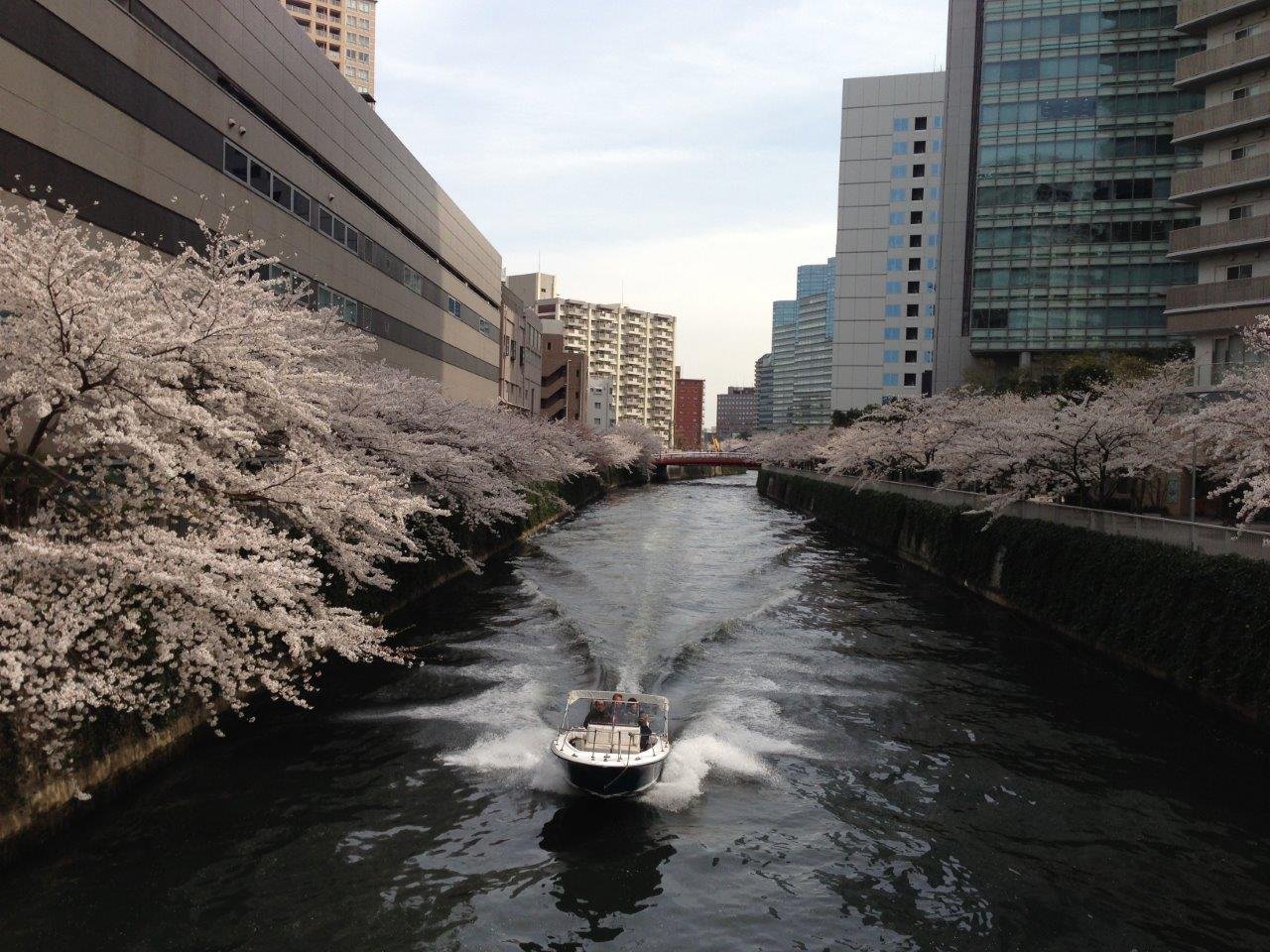 乡村色医的介绍