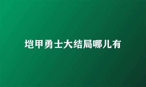 垲甲勇士大结局哪儿有