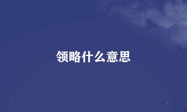 领略什么意思