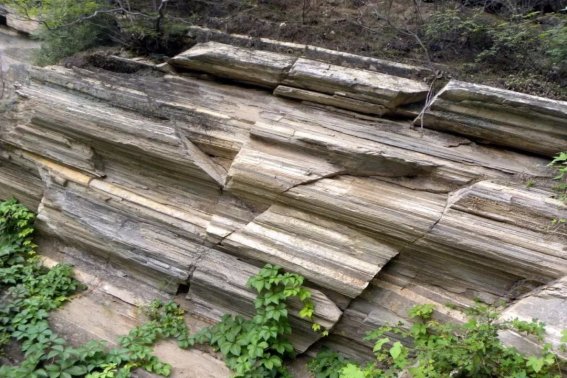 关于大自然的指南针有哪些