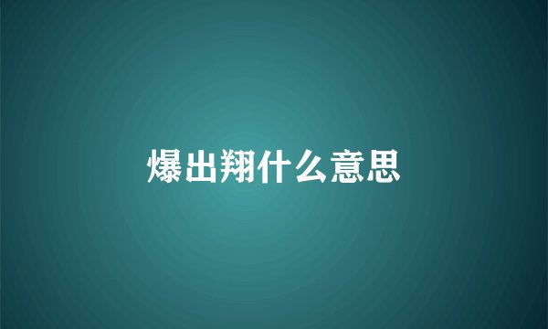 爆出翔什么意思