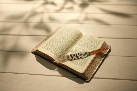 书包网是什么网站？