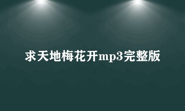 求天地梅花开mp3完整版
