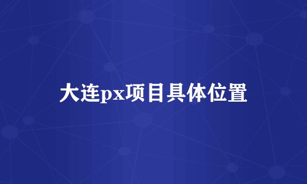 大连px项目具体位置