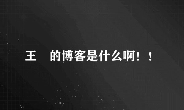 王弢的博客是什么啊！！