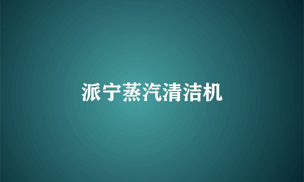派宁蒸汽清洁机