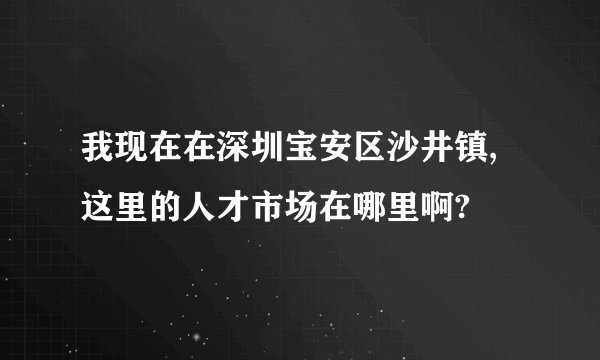 我现在在深圳宝安区沙井镇,这里的人才市场在哪里啊?