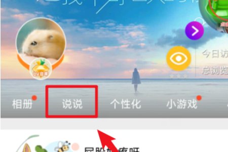 qq彩色动态字体怎样设置
