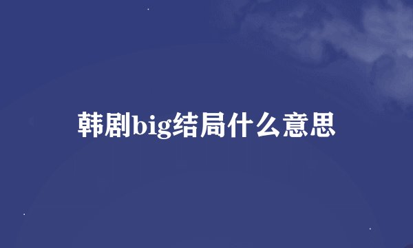 韩剧big结局什么意思