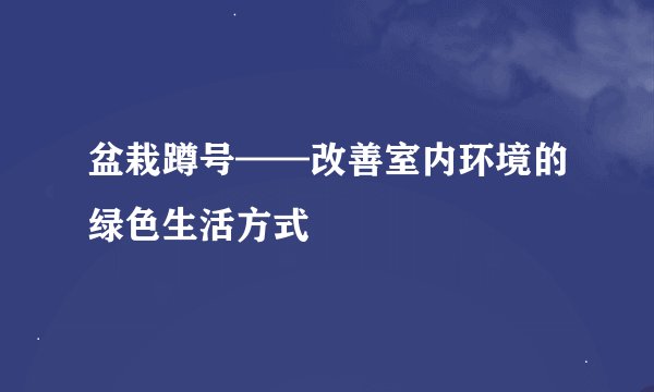 盆栽蹲号——改善室内环境的绿色生活方式