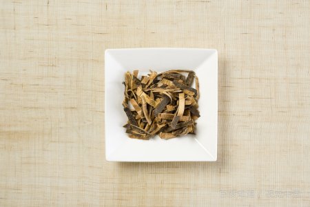 哪里可以看一些医学偏方？