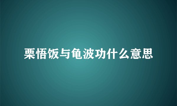 栗悟饭与龟波功什么意思