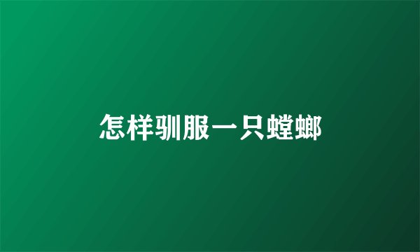怎样驯服一只螳螂