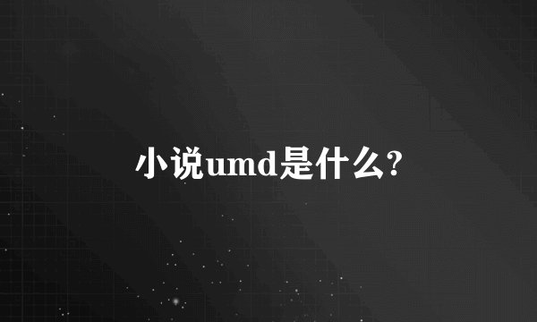 小说umd是什么?