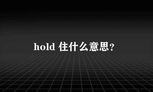 hold 住什么意思？
