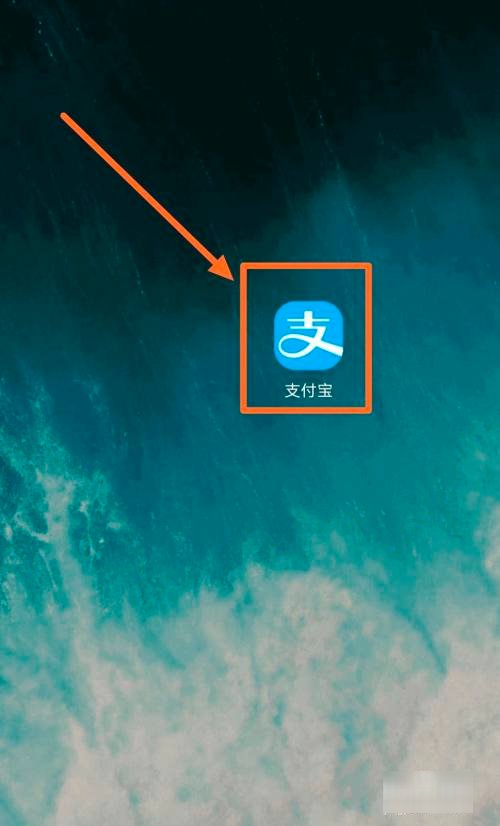 我的快递怎么查询