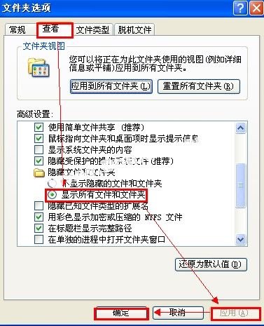 黑道圣徒3存档位置到底在哪里？？我的是XP系统，我在游民星空下载的黑道圣徒3免安装中文硬盘版！！
