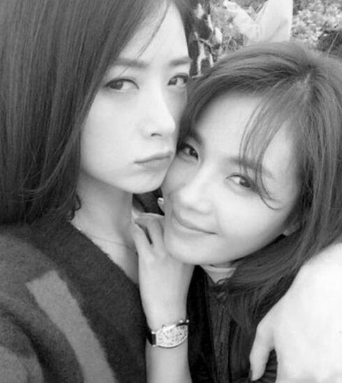 刘涛为蒋欣做媒 刘涛蒋欣雌雄同体是怎么回事