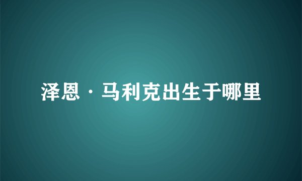 泽恩·马利克出生于哪里