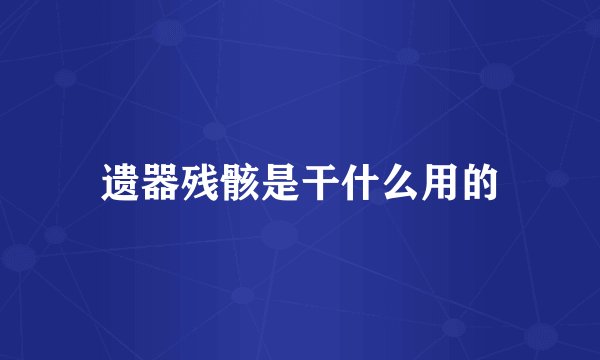 遗器残骸是干什么用的