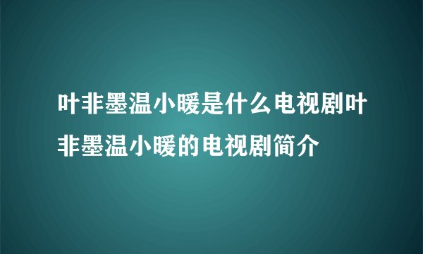 叶非墨温小暖是什么电视剧叶非墨温小暖的电视剧简介