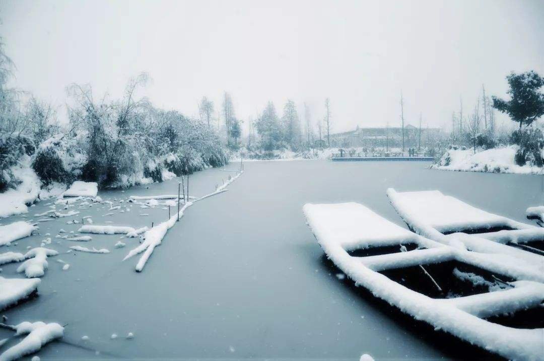 从2019年的数九从什么时候开始一九是几月几日，二九是几月几日，三九是几月几日，四九是几月几日。