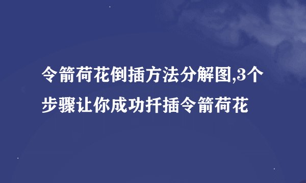 令箭荷花倒插方法分解图,3个步骤让你成功扦插令箭荷花