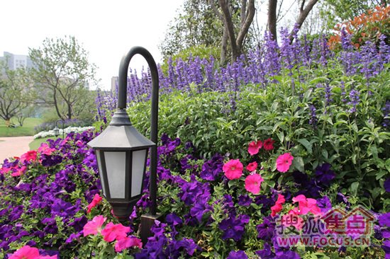 花开名门的内容简介