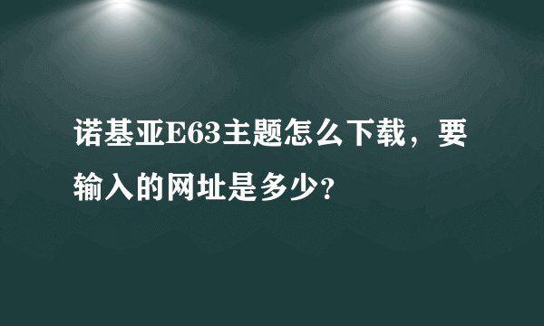 诺基亚E63主题怎么下载，要输入的网址是多少？