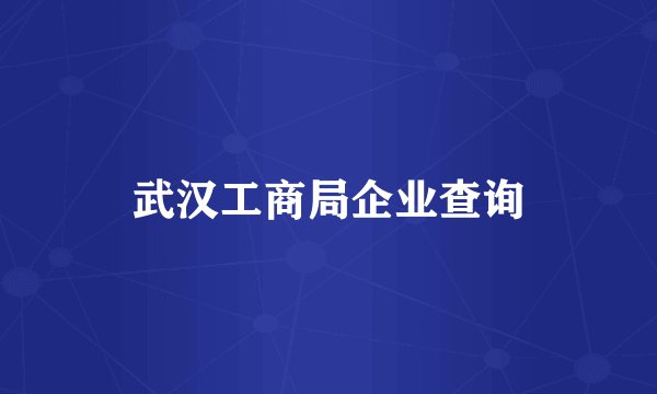 武汉工商局企业查询
