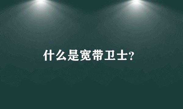 什么是宽带卫士？