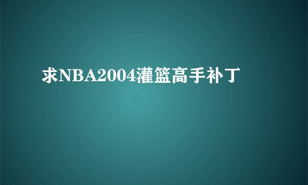 求NBA2004灌篮高手补丁