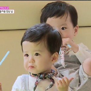 黛子小姐的介绍