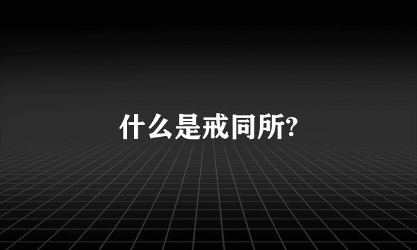 什么是戒同所?